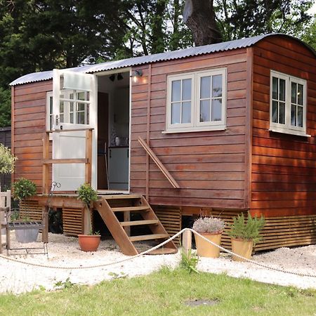Cobo Cottage Chichester Exterior photo